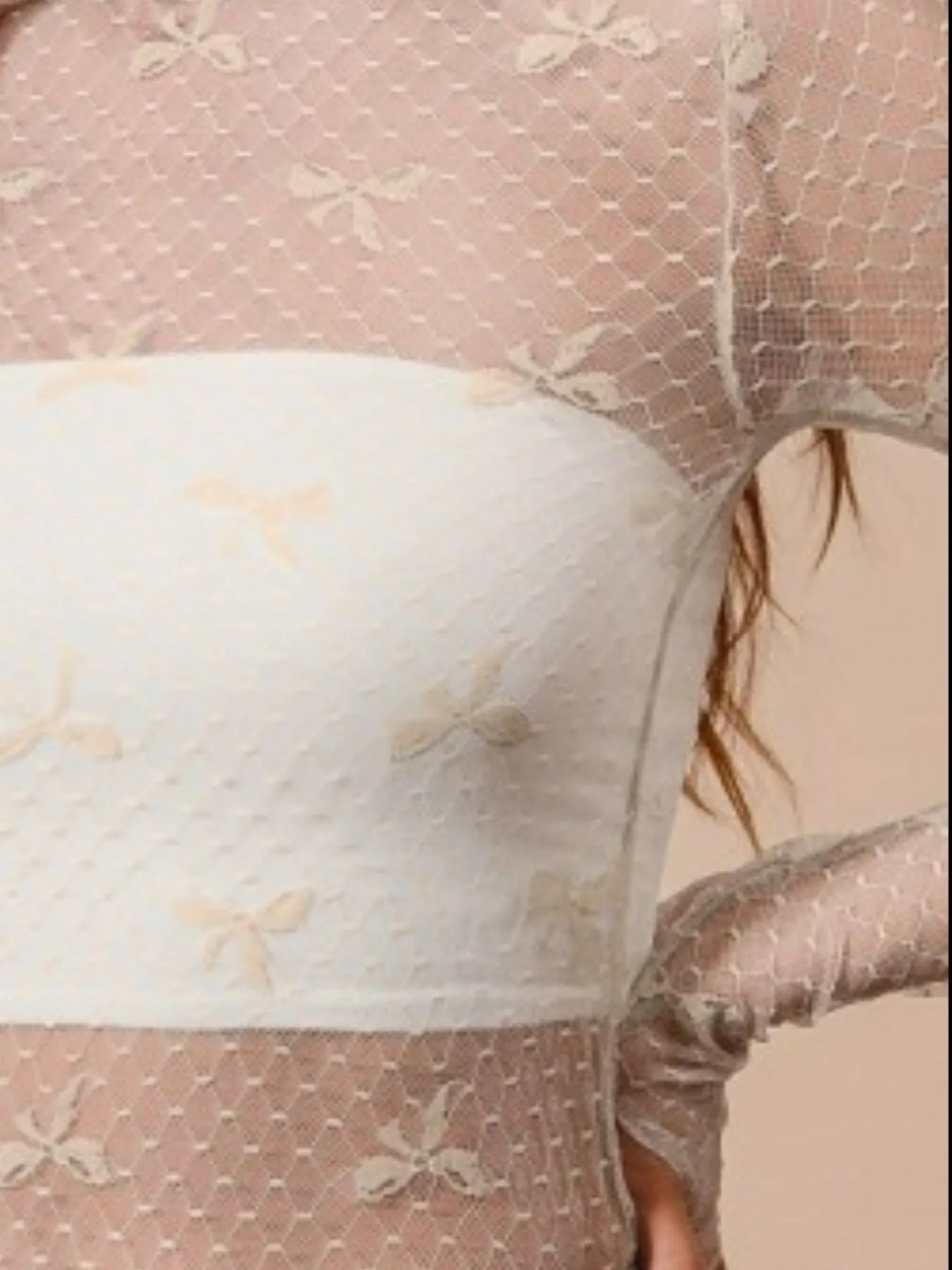 SO ME Bow Ribbon Pattern Sheer Lace Top-Crop Tops-Trendsi-[option4]-[option5]-[option6]-[option7]-[option8]-Shop-Boutique-Clothing-for-Women-Online