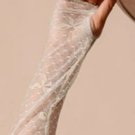 SO ME Bow Ribbon Pattern Sheer Lace Top-Crop Tops-Trendsi-[option4]-[option5]-[option6]-[option7]-[option8]-Shop-Boutique-Clothing-for-Women-Online