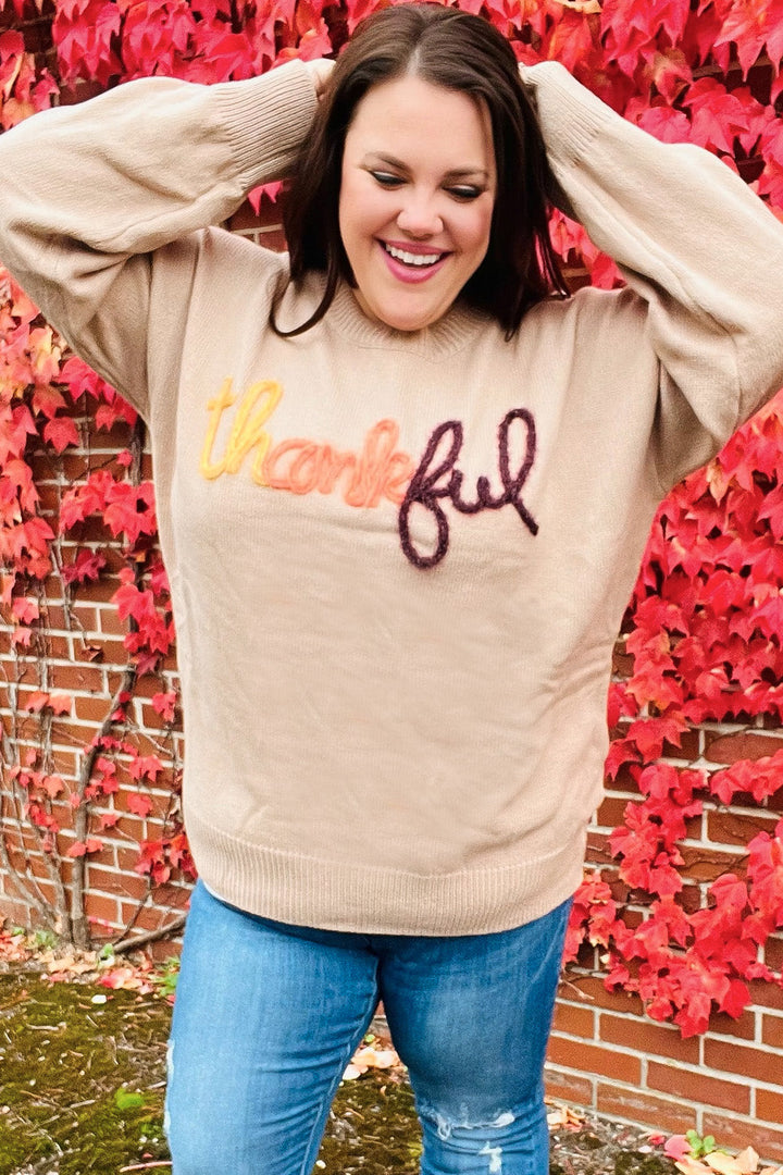 Feeling Thankful Taupe Pop Up Glittery Embroidery Sweater-Haptics-[option4]-[option5]-[option6]-[option7]-[option8]-Shop-Boutique-Clothing-for-Women-Online