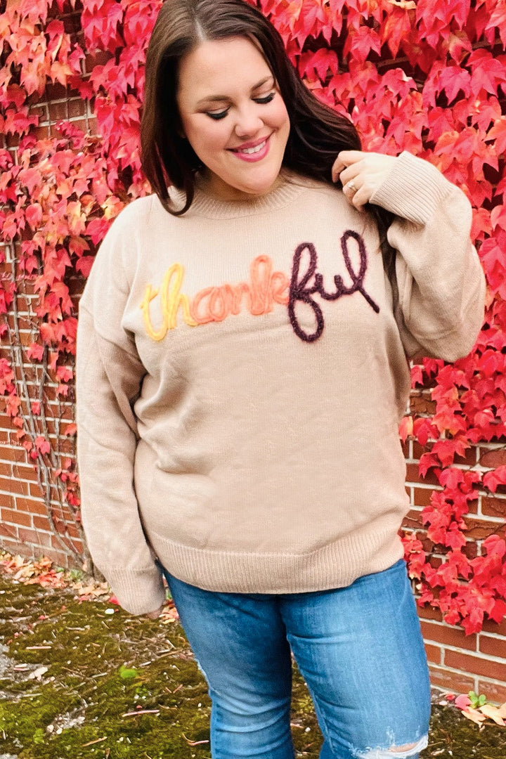 Feeling Thankful Taupe Pop Up Glittery Embroidery Sweater-Haptics-[option4]-[option5]-[option6]-[option7]-[option8]-Shop-Boutique-Clothing-for-Women-Online