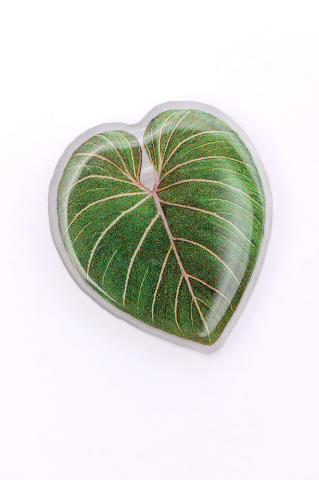 Plant Lover Phone Grip Tropical Leaf-Accessories-Ave Shops-OS-[option4]-[option5]-[option6]-[option7]-[option8]-Shop-Boutique-Clothing-for-Women-Online